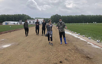 1634535316427764.jpg 10.jpg