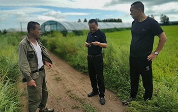 1634535353831721.jpg 11.jpg