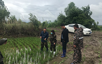 1634535378315772.jpg 17.jpg